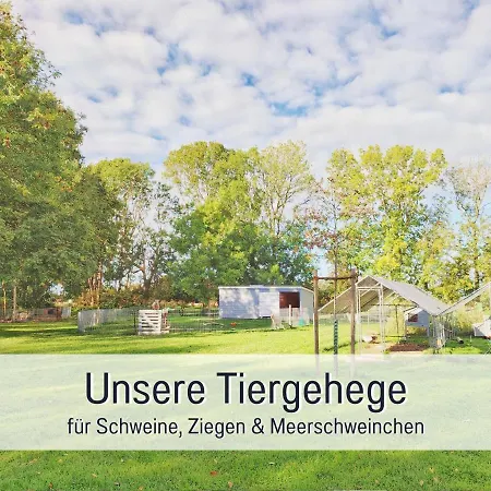 Bio Wichtelweide - Salbei Fehmarn