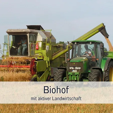 Bio Wichtelweide - Salbei * Fehmarn