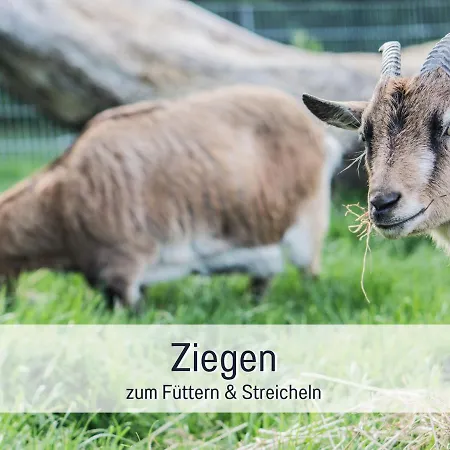 Apartment Bio Wichtelweide - Salbei