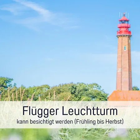 Bio Wichtelweide - Salbei * Fehmarn