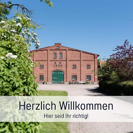 Bio Wichtelweide - Salbei Fehmarn