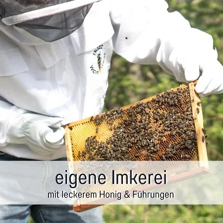 Bio Wichtelweide - Salbei