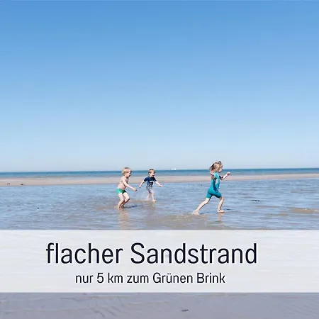 Bio Wichtelweide - Salbei *