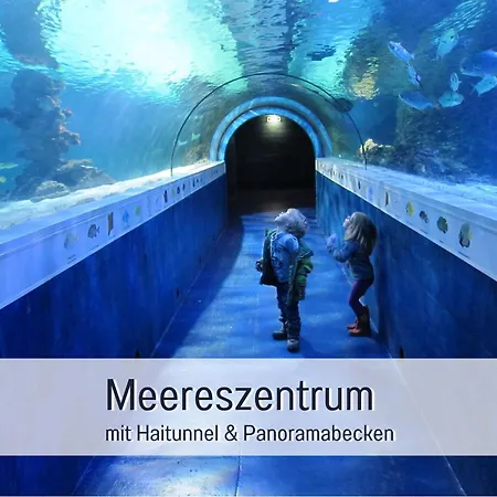 Bio Wichtelweide - Salbei * Fehmarn
