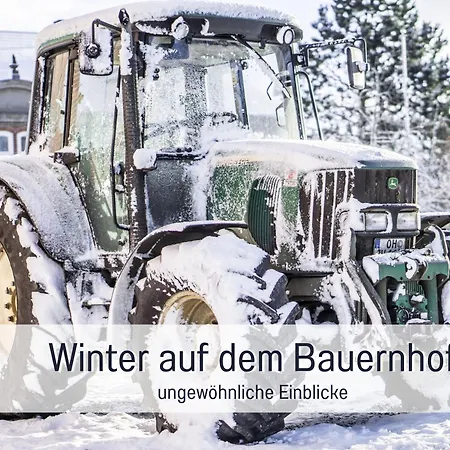 Bio Wichtelweide - Salbei * Femern